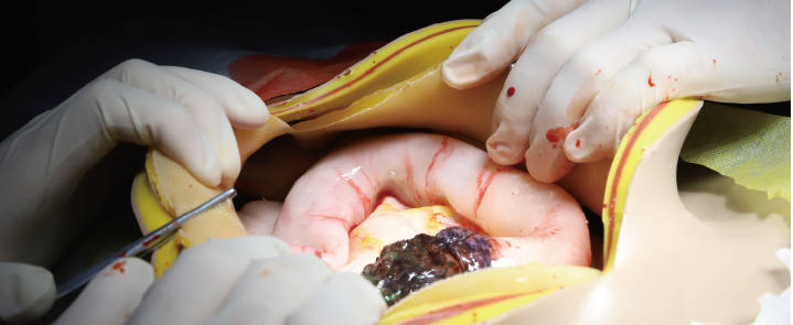 模擬手術(shù)綜合訓練系統(tǒng)