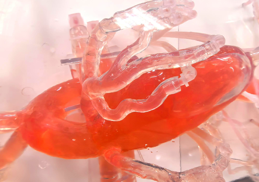 血管介入治療模擬訓(xùn)練平臺(tái)